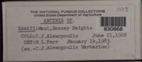 Image Associated With the Occurence